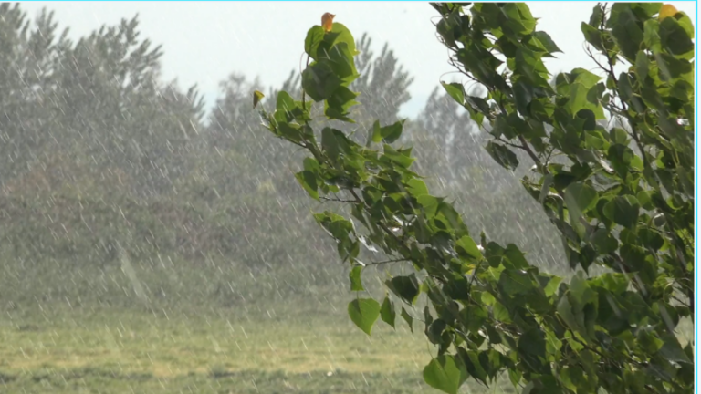 The Sky Breaks | 1 Kings 18:41 | Elijah Series — Volume 2: Hearing God in the Quiet