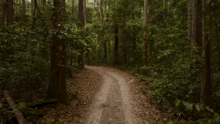 On the Road | Luke 24:32 | Walking with Jesus — Volume 2: Alive & Forever