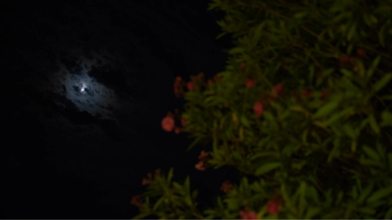 In the Garden | Luke 22:42 | Walking with Jesus — Volume 1: Saved & Loved