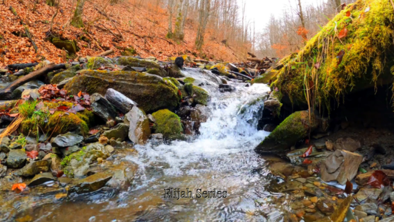 The Hidden Years | 1 Kings 17:2–5 | Elijah Series — Volume 1: The Fire and the Whisper