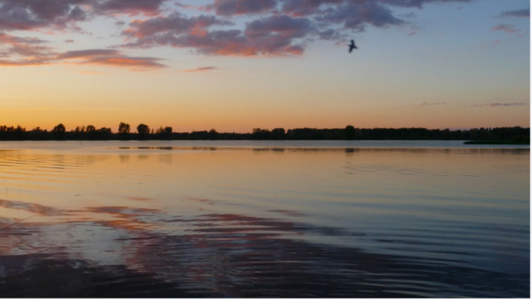 The Storm and the Hand | Matthew 14:30–31 | Walking with Jesus — Volume 1: Saved & Loved